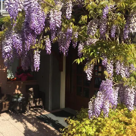 Hotel Ferro Di Cavallo Pavullo nel Frignano Exterior photo