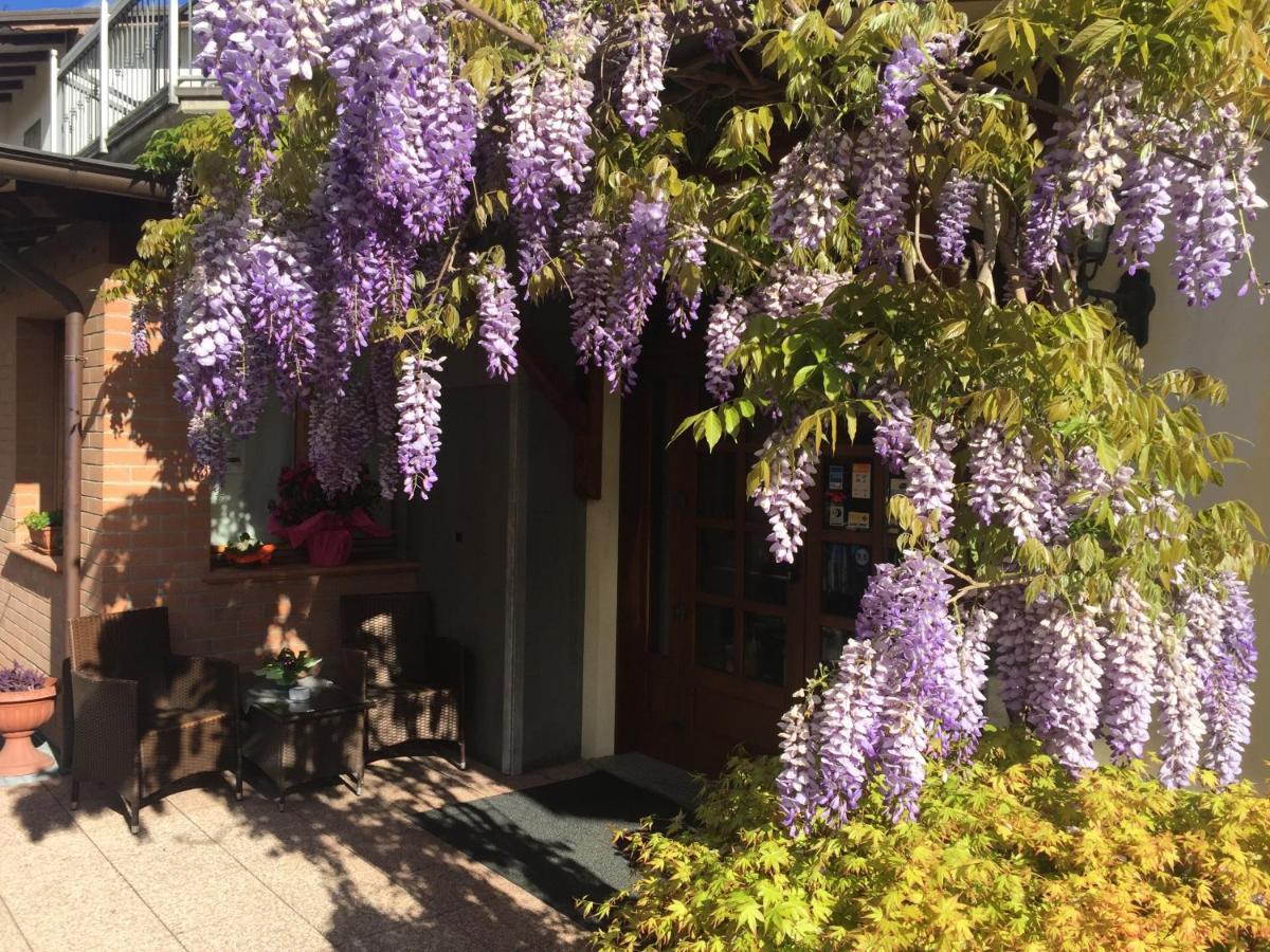 Hotel Ferro Di Cavallo 3*